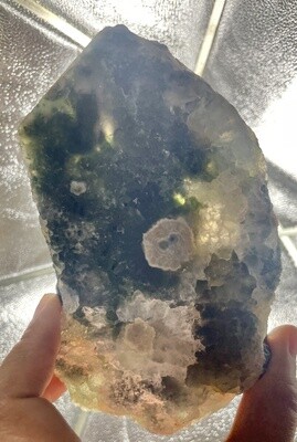 Monkey Face Ocean Jasper Slab