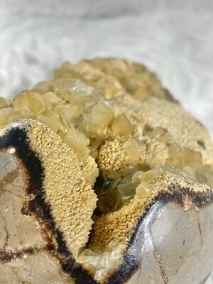 Khaleesi Septarian Nodule Egg