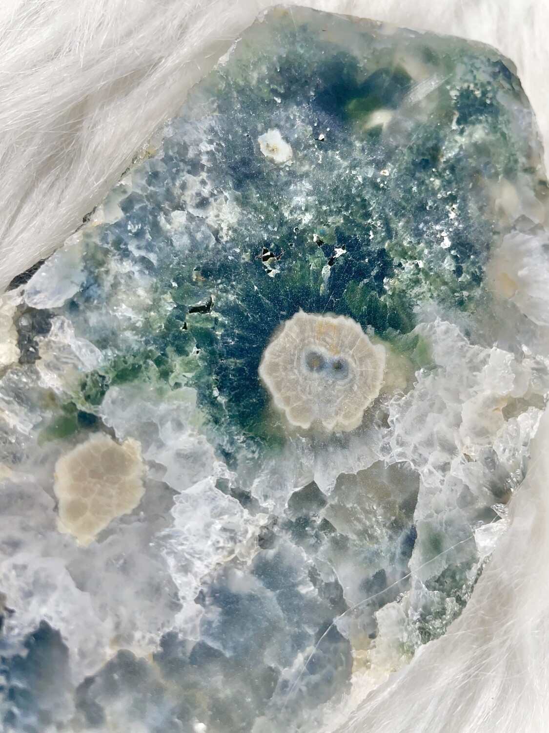 Monkey Face Ocean Jasper Slab