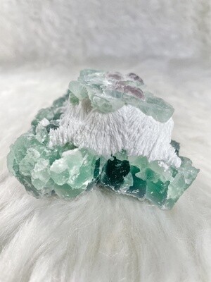 Mushroom Tree Fluorite Specimen