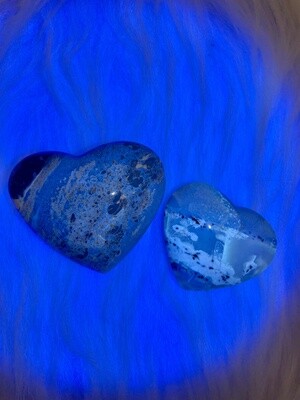 Warm Amber Hearts