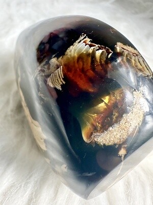 Old Tree Amber Freeform