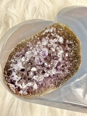 Bite of My Heart Agate Amethyst