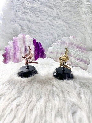 Proud Fluorite Peacock