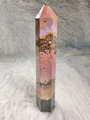 Safari Sunset Ocean Jasper Tower
