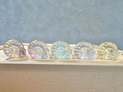 Fluorite Pokemon: Omanyte