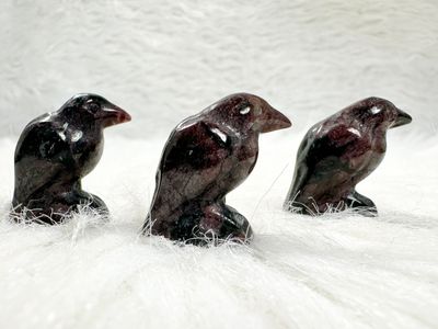 Garnet Ravens