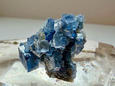 Bouquet of Blue Fluorite