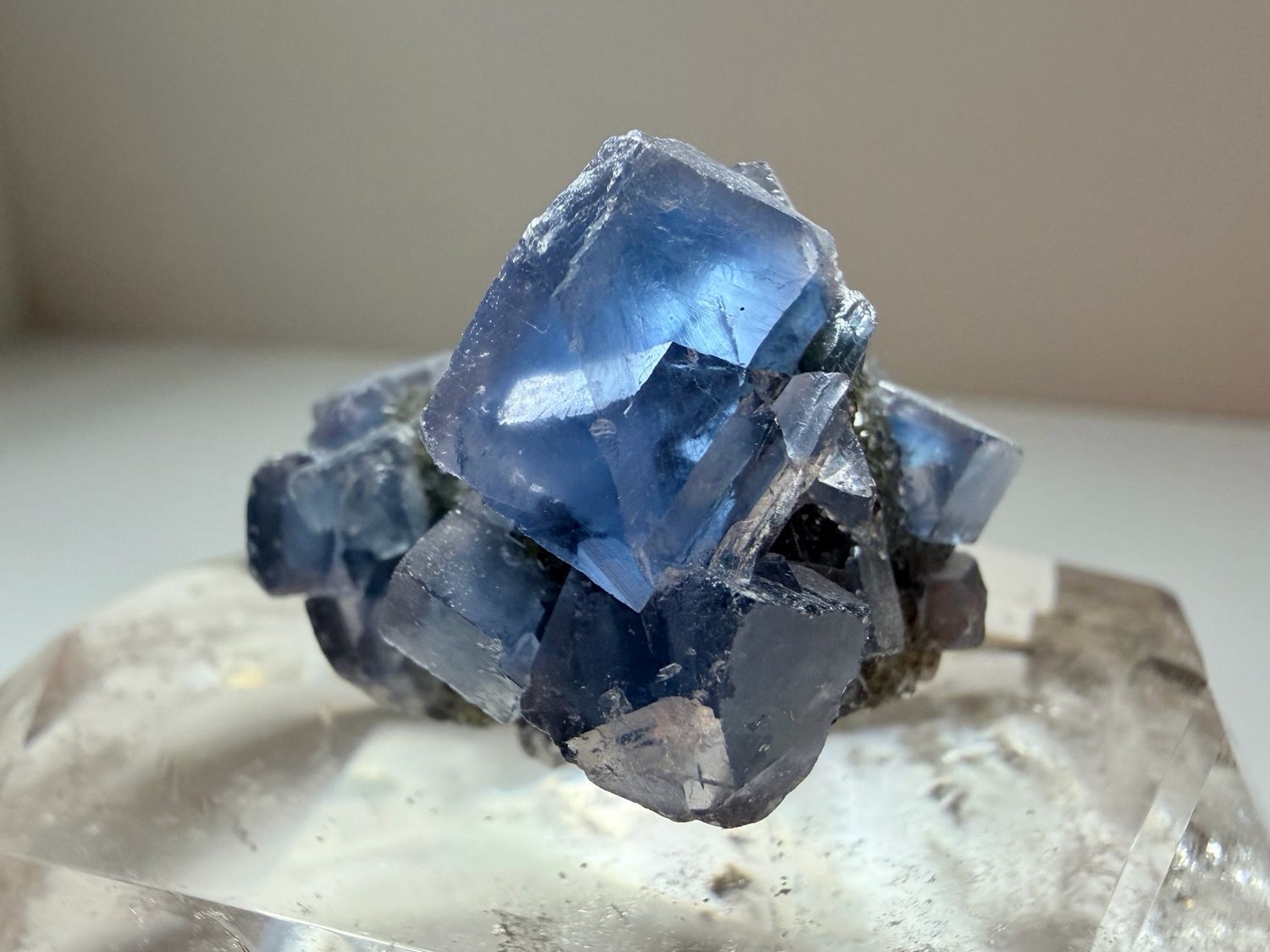 Blue Fluorite on Jelly