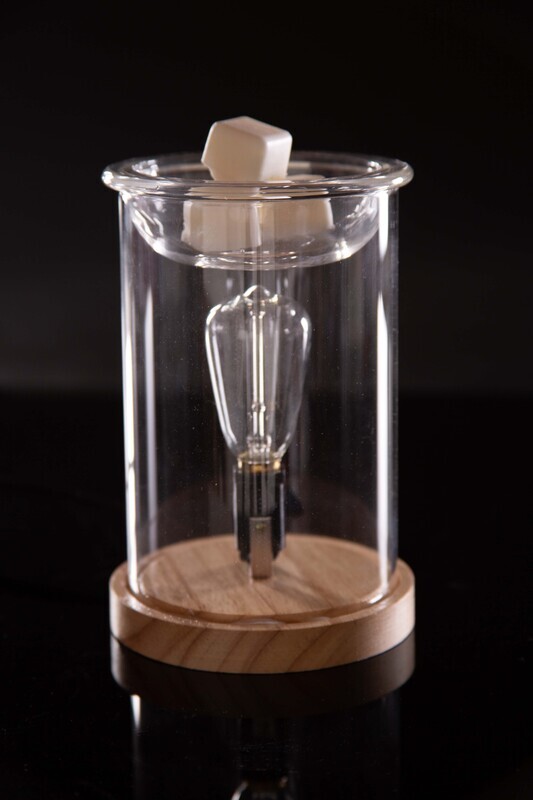 Edison Bulb Wax Warmer