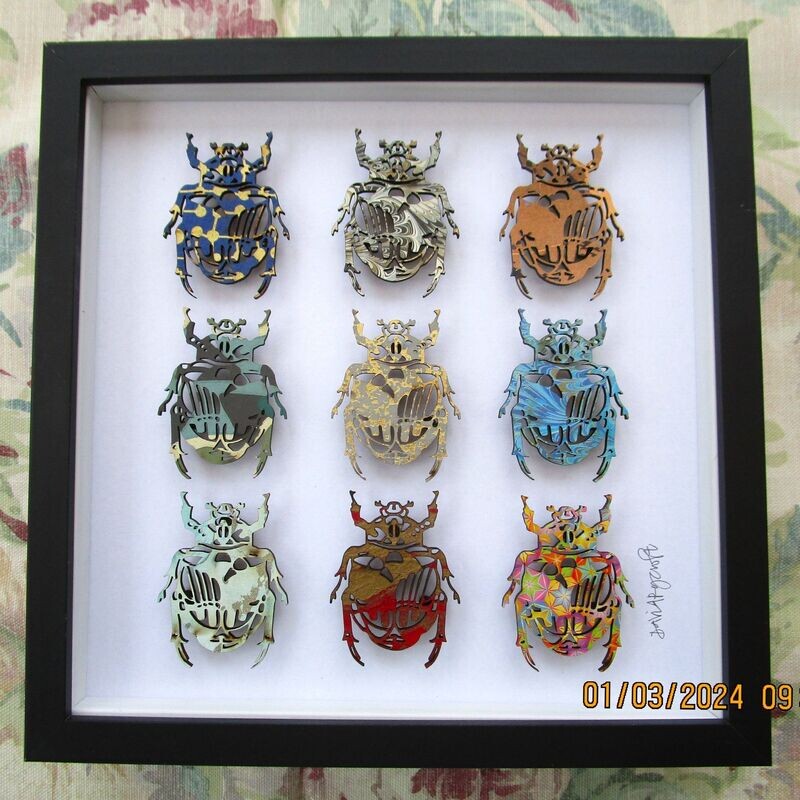 SCARAB BEETLES