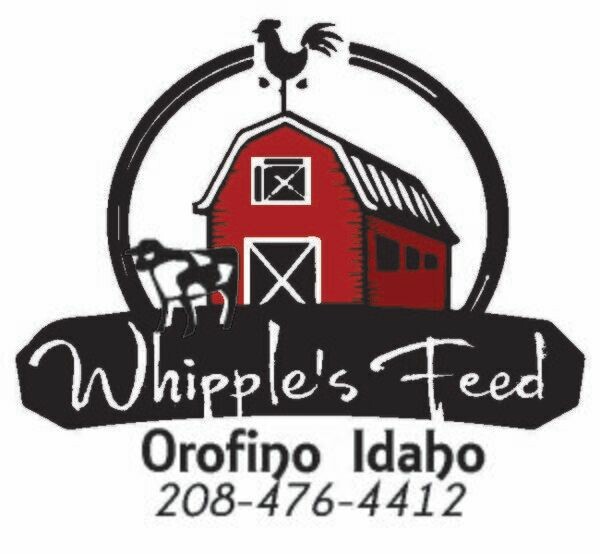 Whipple's Online Store
