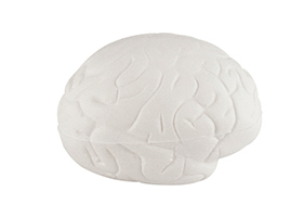 ANTI ESTRES EN FORMA CEREBRO