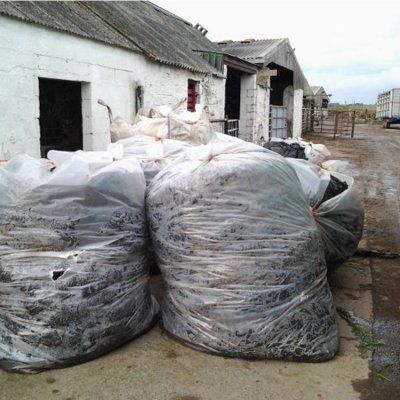 Large Bin Liners