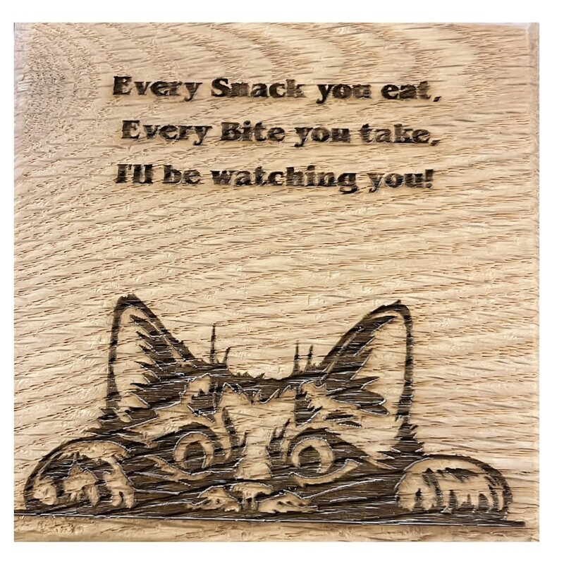 Peeping Cat