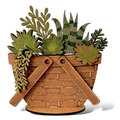 DIY Interchangeable Succulents basket Filler