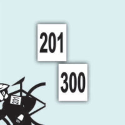 Numeri da Spalla Neutri Serie DA 201 A 300