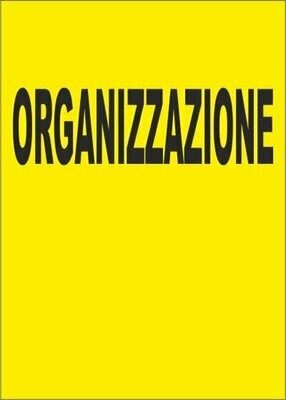 Organizzazione