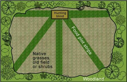 Food Plot Management Services