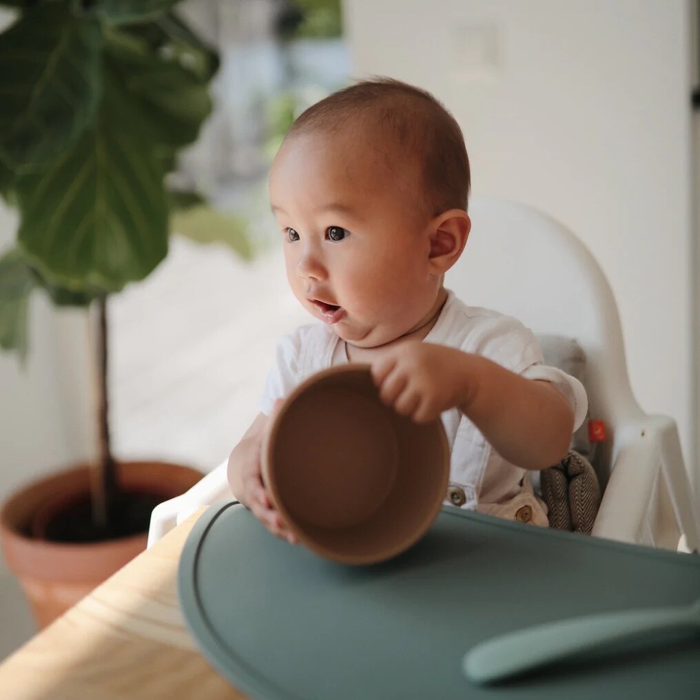 Mushie Silicone Bowl Woodchuck