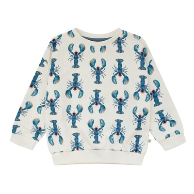 Sweater Cedric