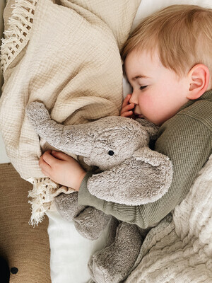Elephant (heating) Cuddlel Grey