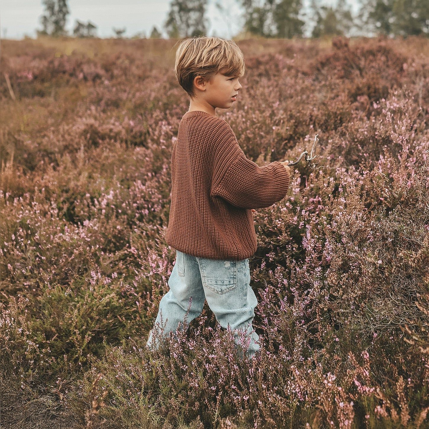 Knit Sweater  Brown