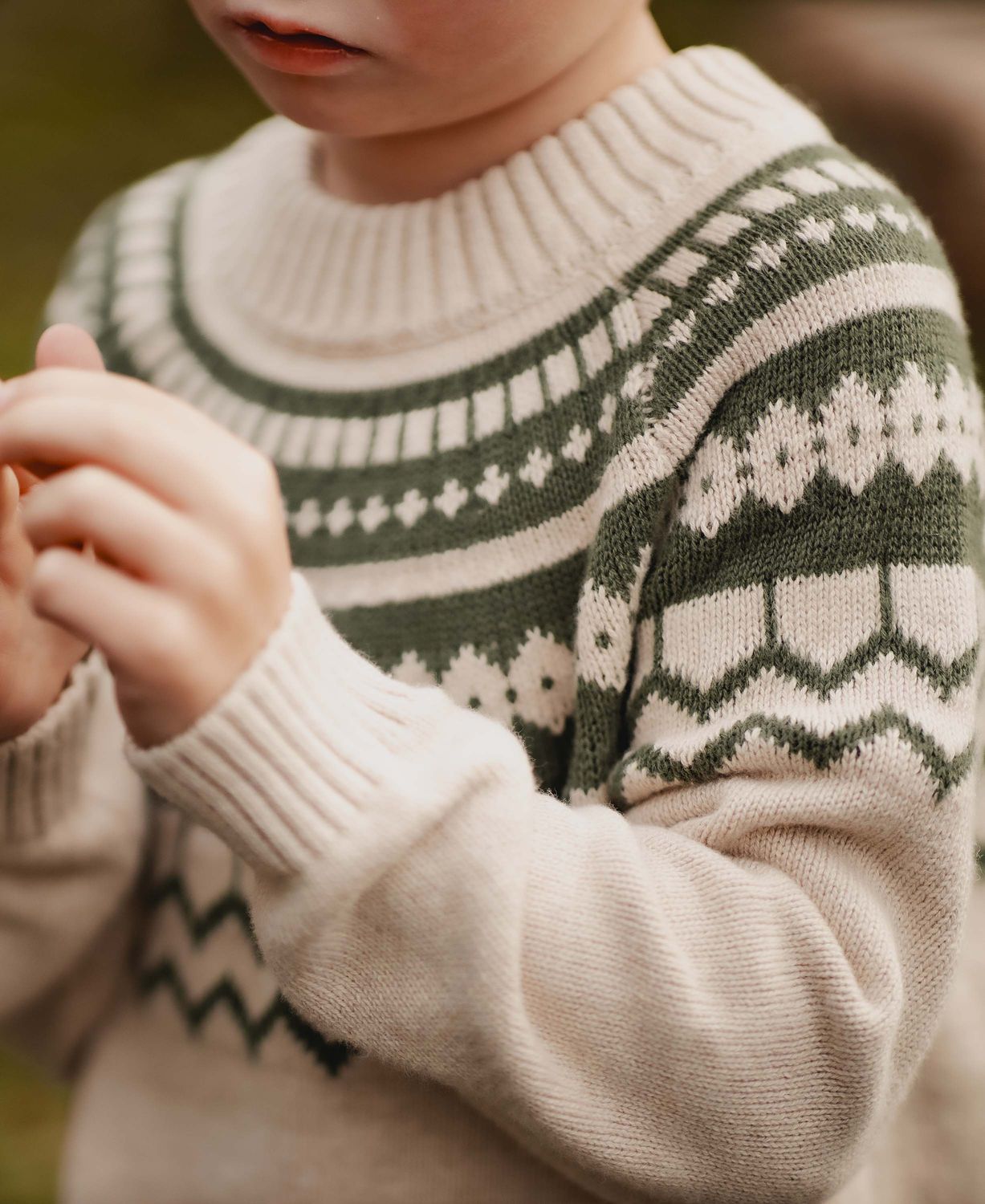 Unisex Pullover Beetle