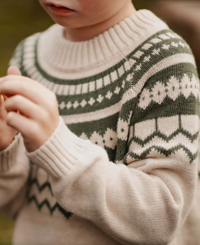 Unisex Pullover Beetle