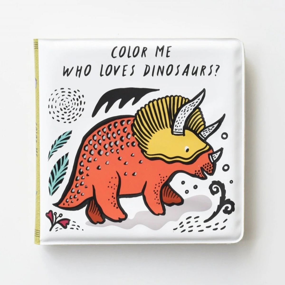 Dinosaur Bath Book