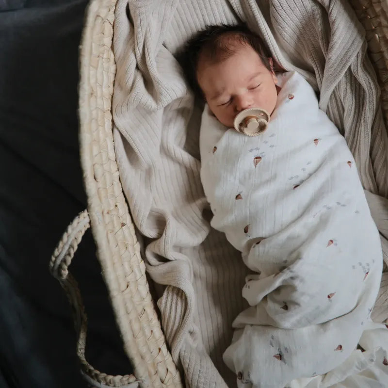 Swaddle Whale
