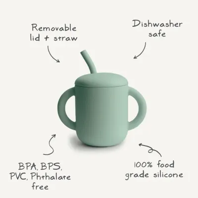 Cup Straw Blush