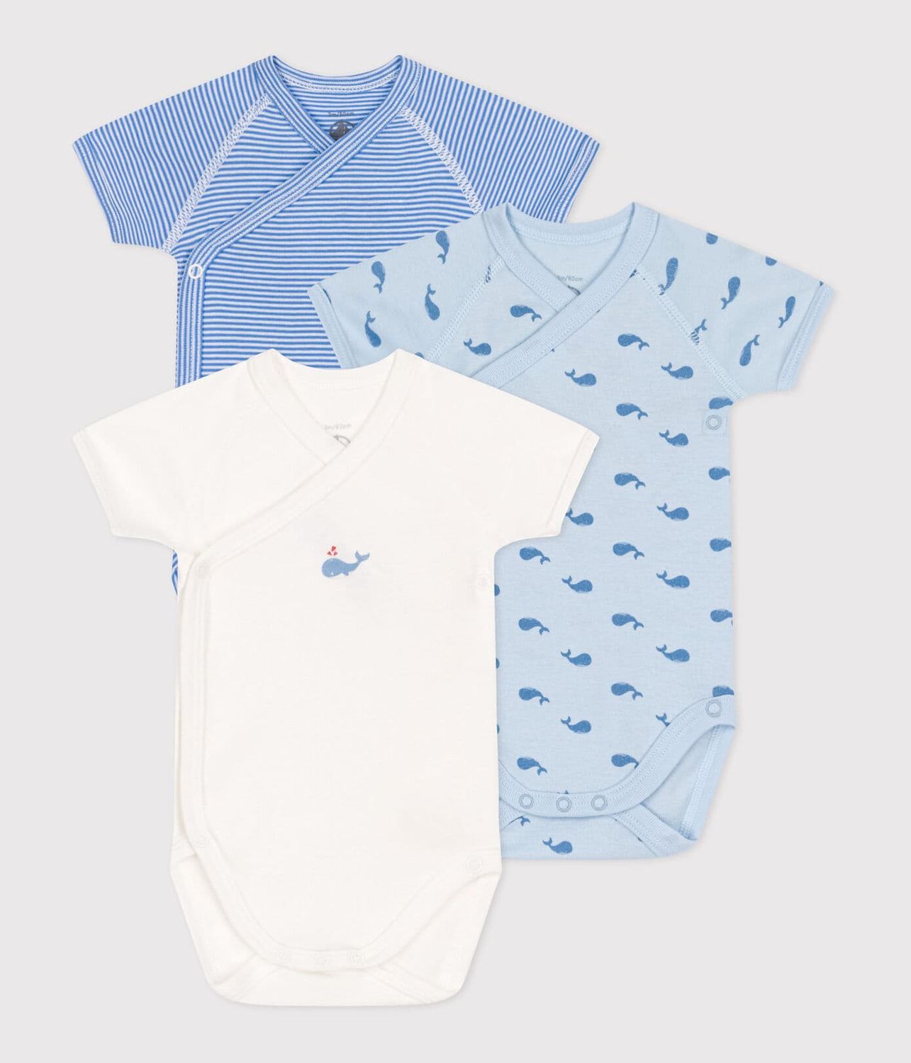 3-Pack Body Whale