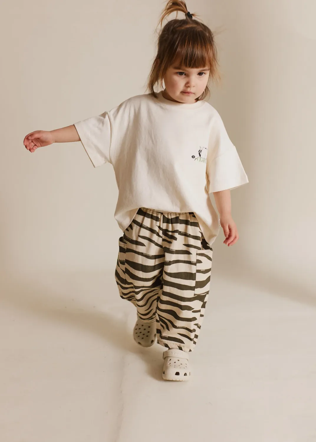 Emerson Zebra