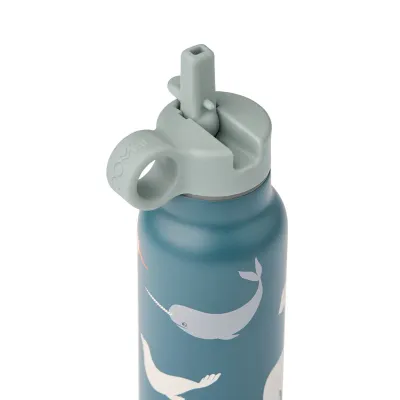 Falk Water Bottle Arctic Sea