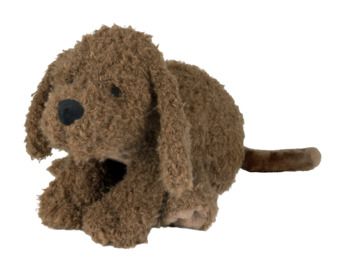 Larry Labradoodle  bruin