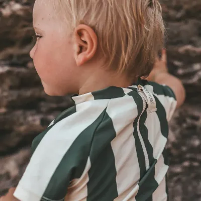 Wide Stripe Tee Bronze Green