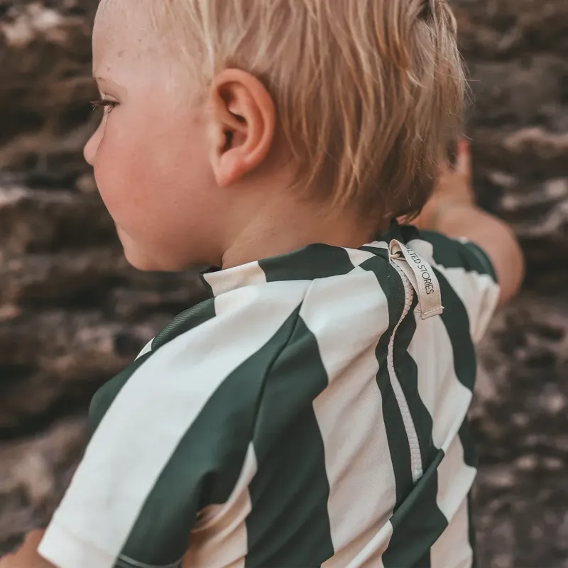Wide Stripe Tee Bronze Green