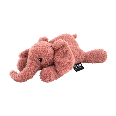 flow amsterdam 2155027