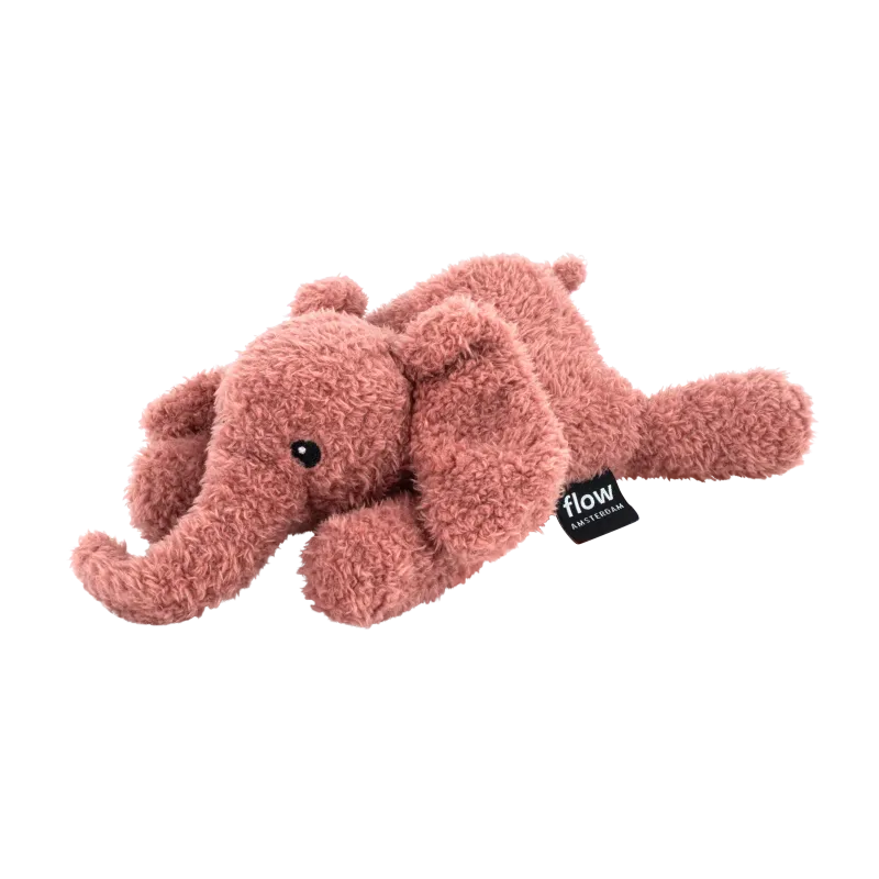 flow amsterdam 2155027