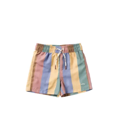 Multi Stripes Swim Shorts multicolour