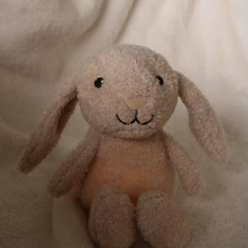 flow amsterdam 1975027