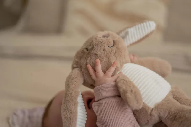 flow amsterdam 2165027