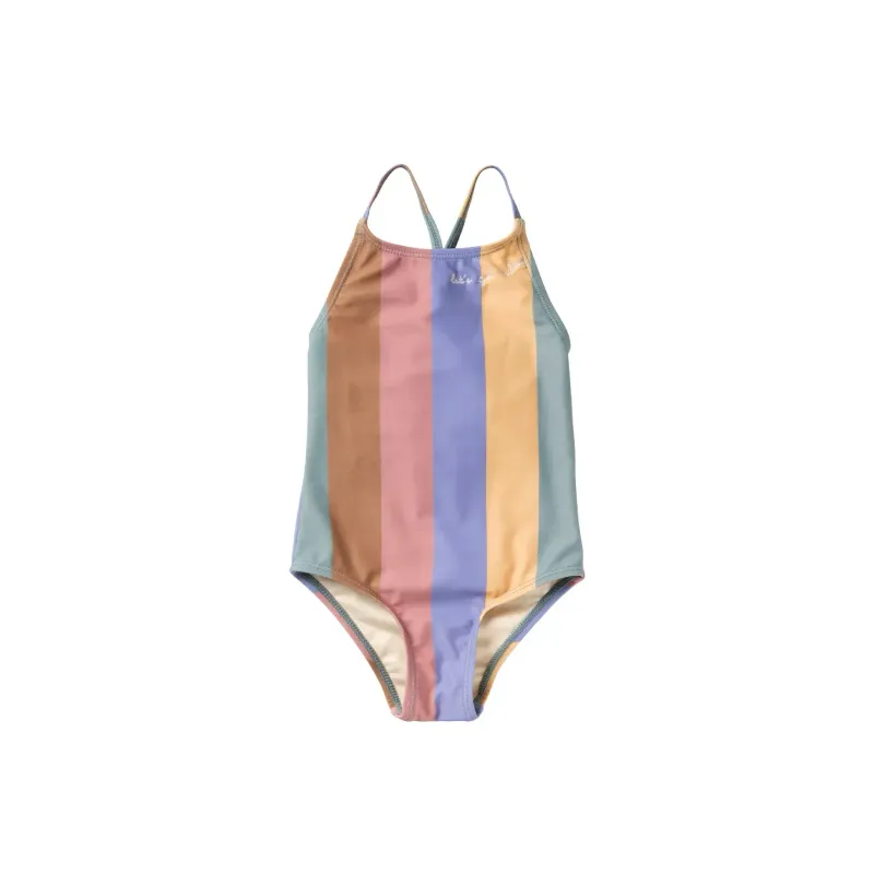 Multi Stripe Swim Suit multicolour