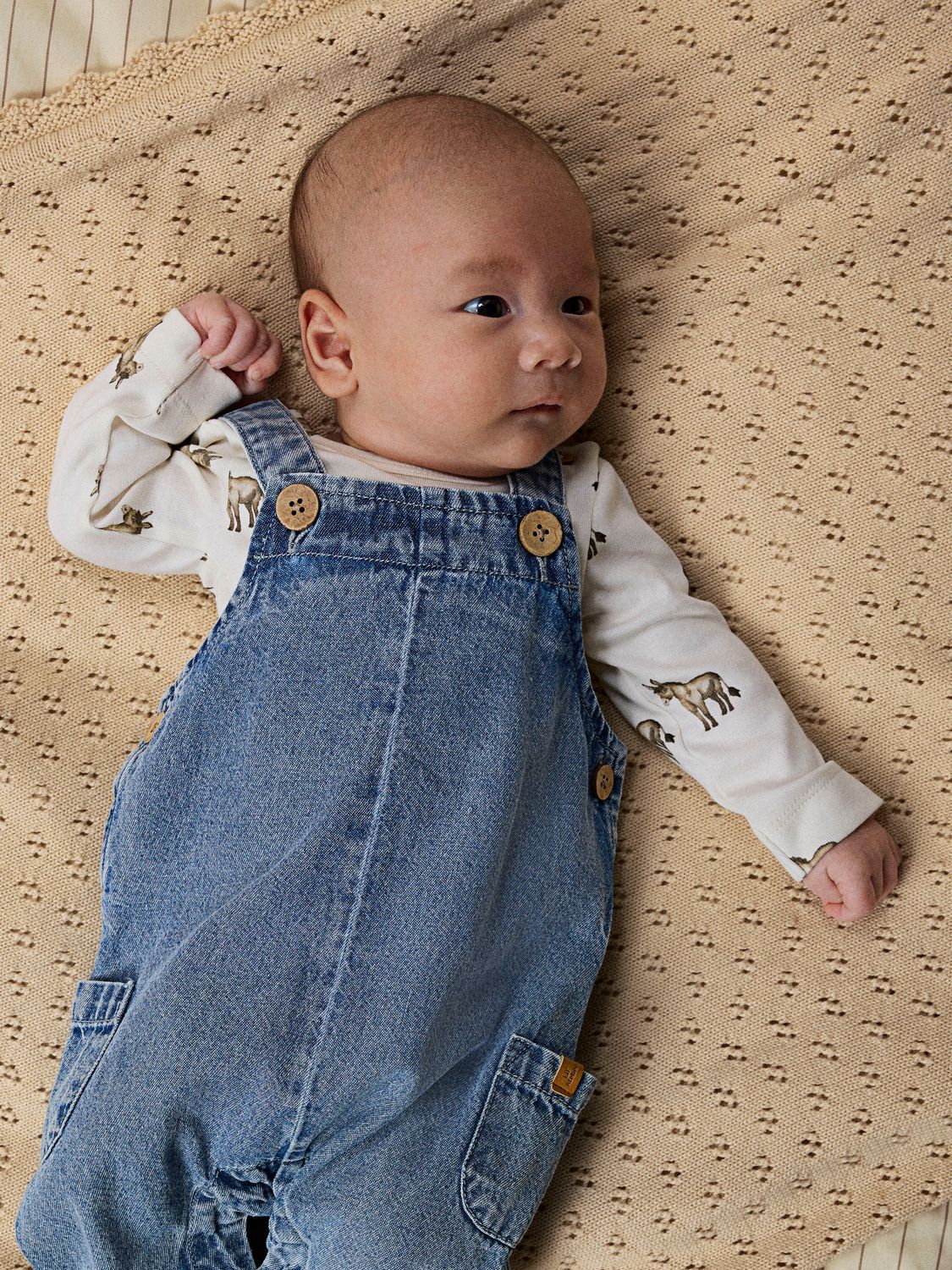 Lil' Atelier 13251181