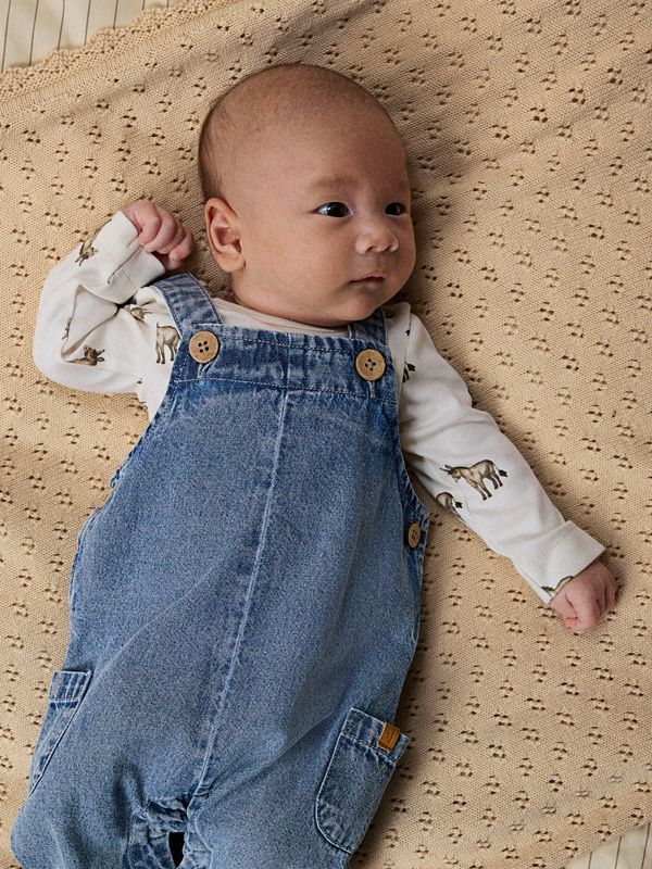 Lil' Atelier 13251181