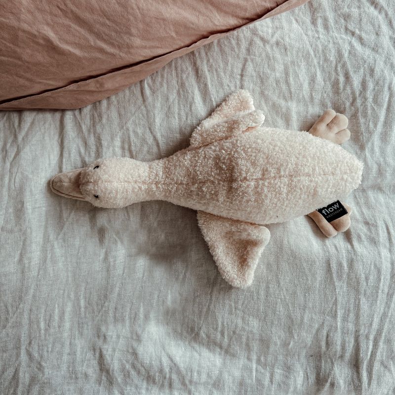 flow amsterdam 2075027