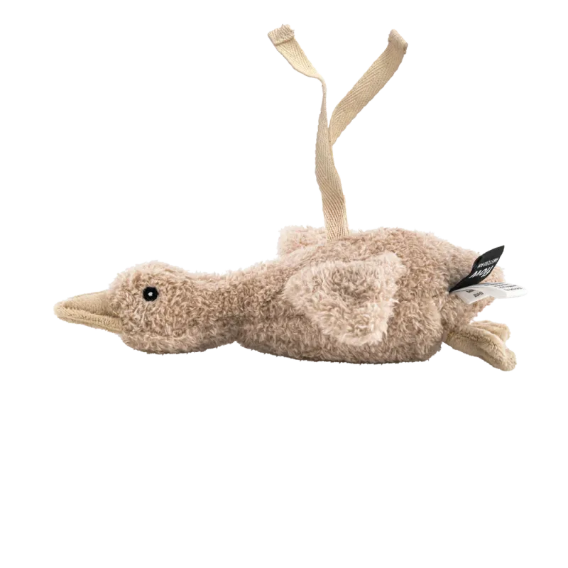 flow amsterdam 2035027