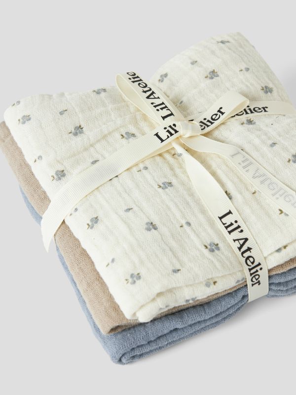 Lil' Atelier 13256520