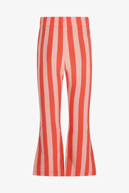 The New Chapter D602-5610